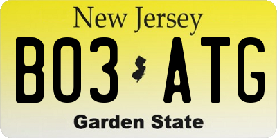 NJ license plate B03ATG