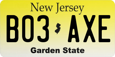 NJ license plate B03AXE