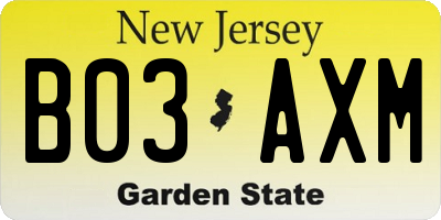 NJ license plate B03AXM