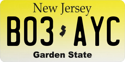 NJ license plate B03AYC