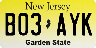 NJ license plate B03AYK