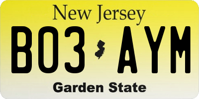 NJ license plate B03AYM