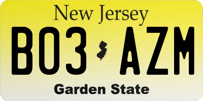 NJ license plate B03AZM