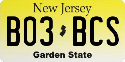 NJ license plate B03BCS