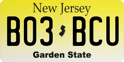 NJ license plate B03BCU