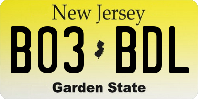 NJ license plate B03BDL