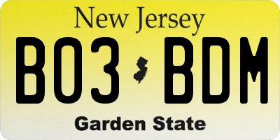 NJ license plate B03BDM