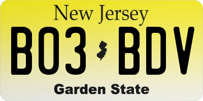 NJ license plate B03BDV