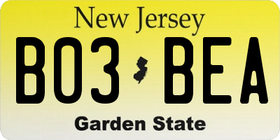 NJ license plate B03BEA