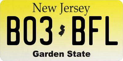 NJ license plate B03BFL