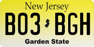 NJ license plate B03BGH