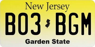 NJ license plate B03BGM