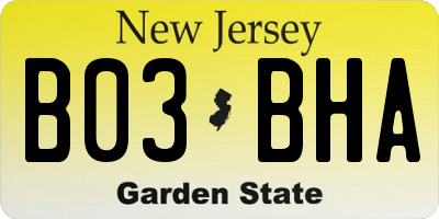NJ license plate B03BHA