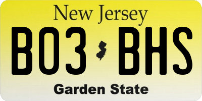 NJ license plate B03BHS