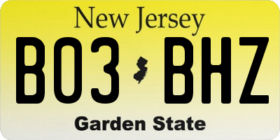 NJ license plate B03BHZ
