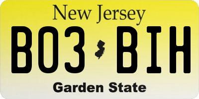NJ license plate B03BIH