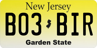NJ license plate B03BIR