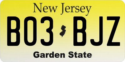 NJ license plate B03BJZ