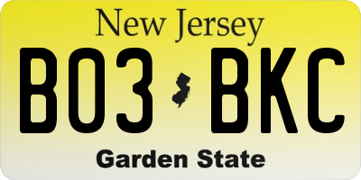 NJ license plate B03BKC