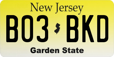 NJ license plate B03BKD