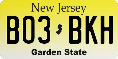 NJ license plate B03BKH