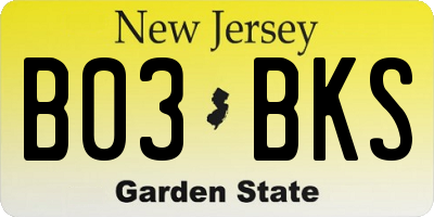 NJ license plate B03BKS