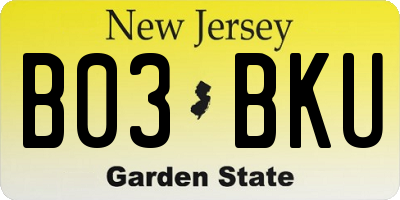NJ license plate B03BKU