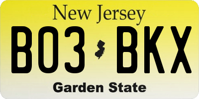NJ license plate B03BKX