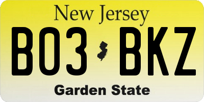 NJ license plate B03BKZ