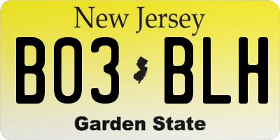 NJ license plate B03BLH