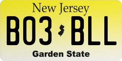 NJ license plate B03BLL