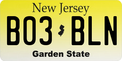 NJ license plate B03BLN