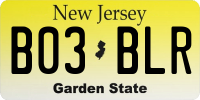 NJ license plate B03BLR