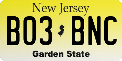 NJ license plate B03BNC