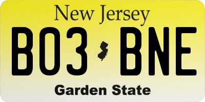 NJ license plate B03BNE