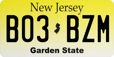 NJ license plate B03BZM