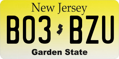 NJ license plate B03BZU