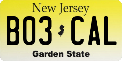NJ license plate B03CAL
