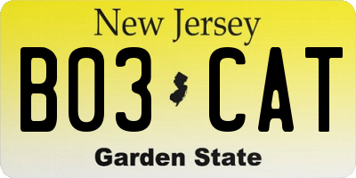 NJ license plate B03CAT