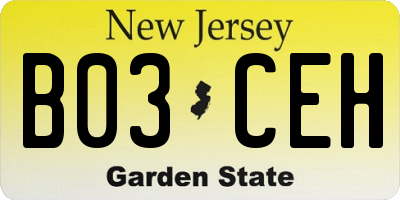 NJ license plate B03CEH
