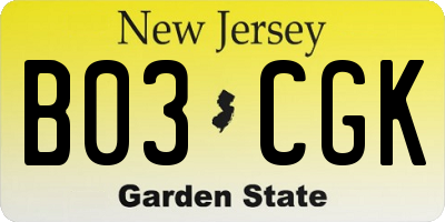 NJ license plate B03CGK