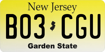 NJ license plate B03CGU