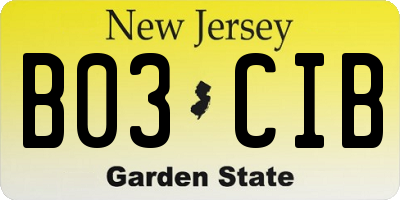 NJ license plate B03CIB