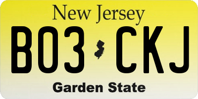 NJ license plate B03CKJ