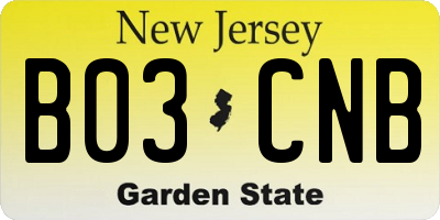 NJ license plate B03CNB