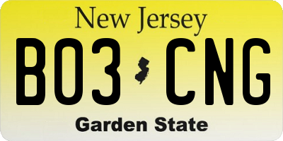 NJ license plate B03CNG