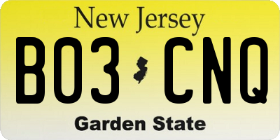 NJ license plate B03CNQ