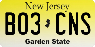 NJ license plate B03CNS