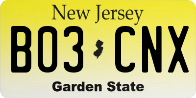 NJ license plate B03CNX