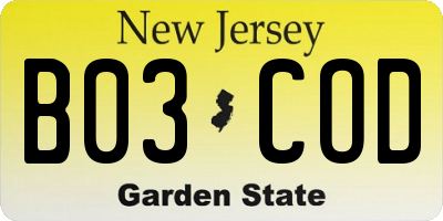 NJ license plate B03COD